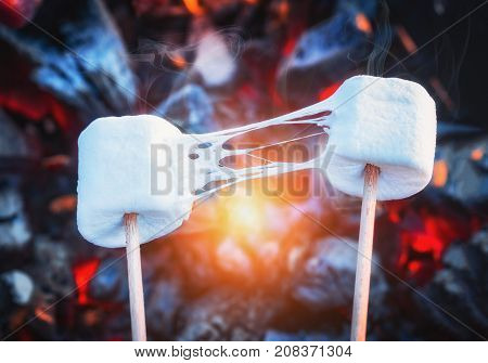 Two stretchy marshmallows roasting over fire flames. Marshmallow on skewers roasted on charcoals.