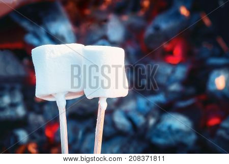 Two white sweet marshmallows roasting over fire flames. Marshmallow on skewers roasted on charcoals.
