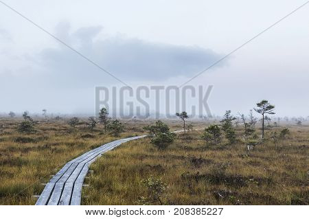 The sun Latvia.Dunikas swamp and mist rises