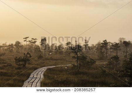The sun Latvia.Dunikas swamp and mist rises