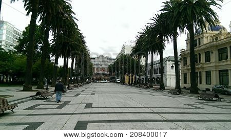 Main square with tree avenue in city