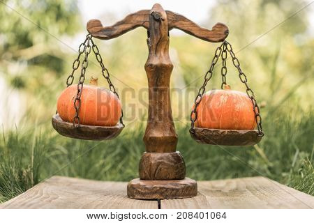 Balance of lifestyle. Pumpkins, gardening, weigh control