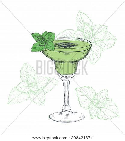 Mint cocktail sketch illustration. Mint drink Exotic cocktail skech