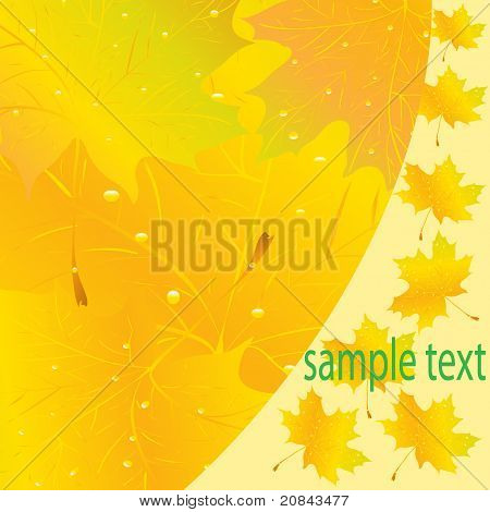 추상 꽃 Background.eps