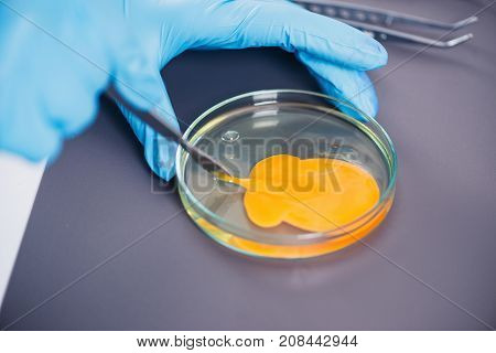 Food Safety, Woman Examining Egg In The Lab, Toned Image