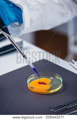 Food Safety, Woman Examining Egg In The Lab, Toned Image