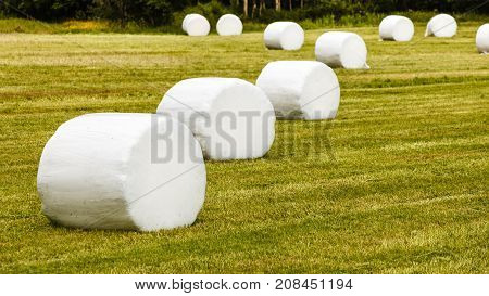 Bale Of Hay Wrapped In Plastic Foil