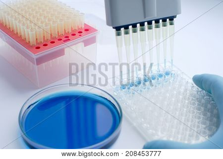 Scientist working with multichannel pipette. Experimental labboratory. Analysing Qualitative Research