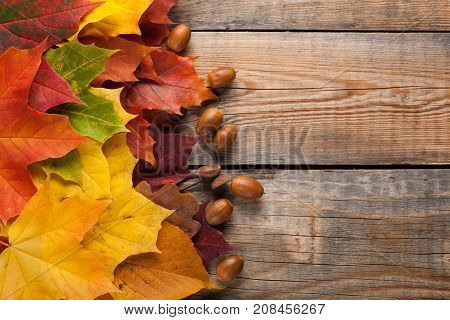 Colorful Autumn Leaves On The Background A Dark Old Wood. Top View With Copy Space