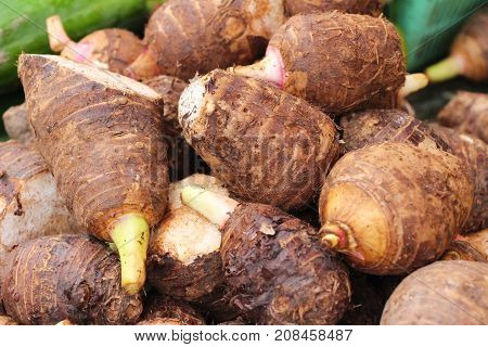 fresh taro for cooking in the market