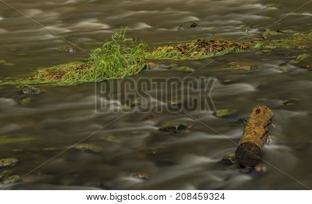 Chribska Kamenice River In National Park Ceske Svycarsko In Autumn Morning