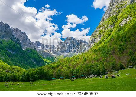 Picturesque Meadows And Forests Are Located Among The High Mountains.