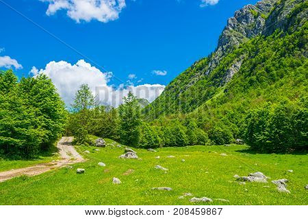 Picturesque Meadows And Forests Are Located Among The High Mountains.