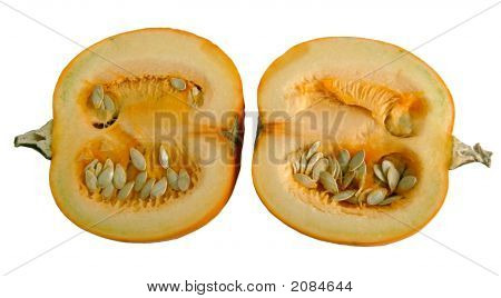 Zucca