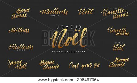 French lettering Joyeux noel, Meilleurs Voeux, Bonne annee. Merry Christmas and Happy New Year, golden text calligraphy