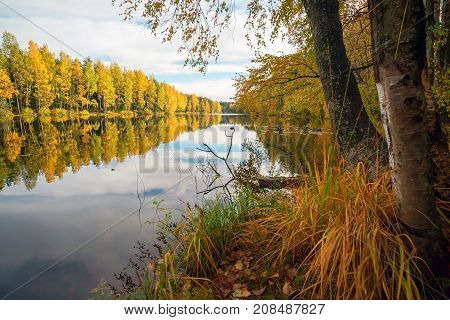 Trees reflected in the blue lake . Autumn landscape