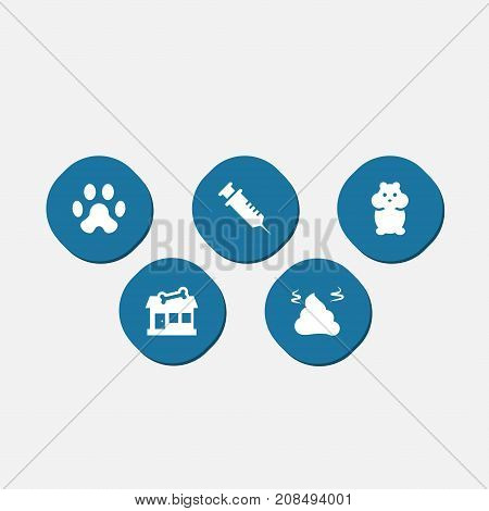 Collection Of Rat, Injection, Store And Other Elements.  Set Of 5 Animals Icons Set.