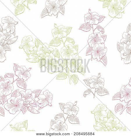 Roselle flower branch graphic color seamless pattern sketch illustration vector