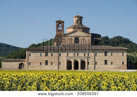 Urbania (Montefeltro Pesaro Urbino Marches Italy). Historic farm and field of sunflowers