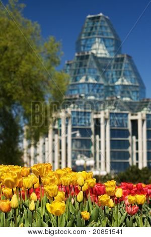 Festival tulipánů