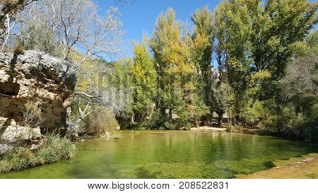 In The Natural Park Of The High Tajo In Guadalajara