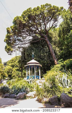 Gazebo in the garden.
Lush vegetation of the Nikitsky Botanical Garden in the Crimea.