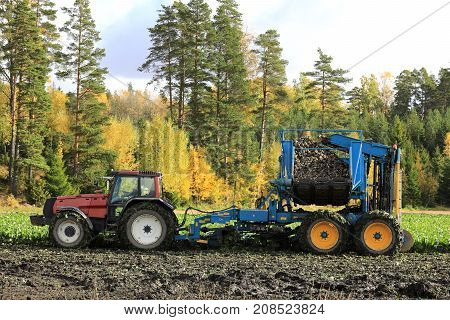 SALO FINLAND - OCTOBER 6 2017: Farmer harvests sugar beet with red Valtra Valmet tractor and Edenhall 733 beet harvester on a sunny day of October in South of Finland.