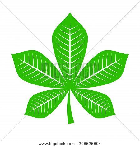 Chestnut leaf logo icon. Simple illustration of chestnut tree leaf vector illustration for print or web design.