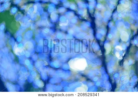 Christmas Led Lights In The Form Of Flowers, Blue Bokeh, Selected Focus