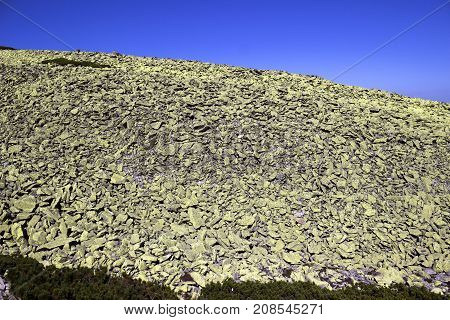 Mountains Gorgan In The Carpathian Mountains In Ukraine. A Lot O