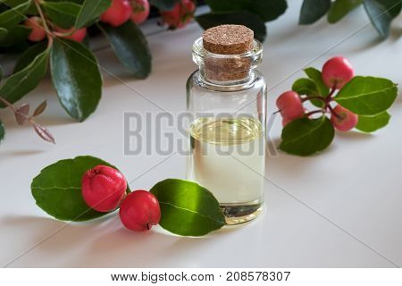 A Bottle Of Wintergreen Essential Oil On A White Background