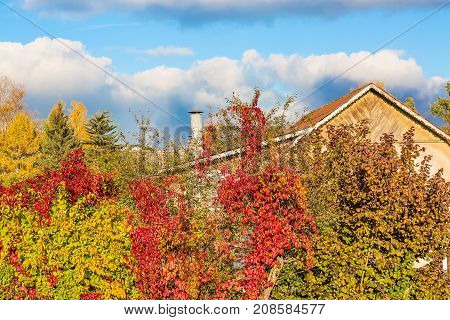 Suburban home in early autumn with beutiful colorful leaves and nice blue sky with clouds. Autumn landscape