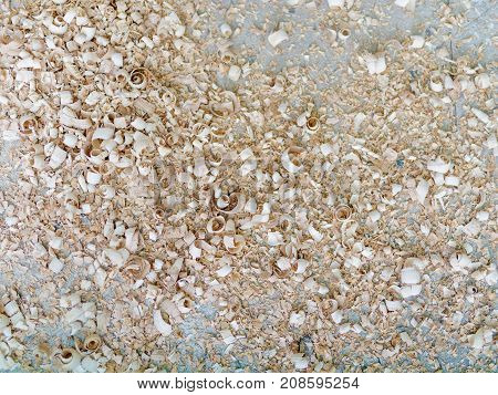 The chips are on the background of the gray floor after woodworking