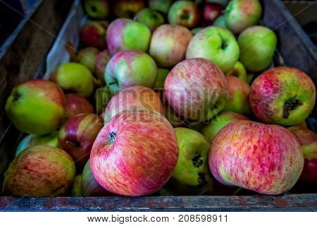 Fresh red and green apples for sale stored in retro grunge basket in the market