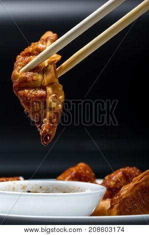 Crispy Pork Potstickers