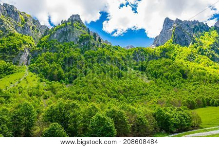 Scenic Forest And Meadows Among The High Snow-capped Mountains.