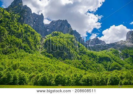 Scenic Forest And Meadows Among The High Snow-capped Mountains.