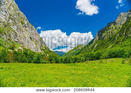 Scenic Forest And Meadows Among The High Snow-capped Mountains.