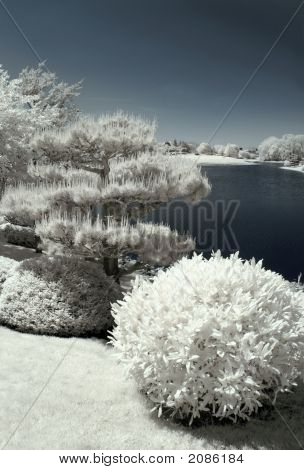 Japanese Garden By The Water In Infrared