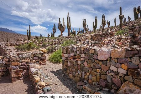 Pukara de Tilcara pre Columbian fortifications Argentina