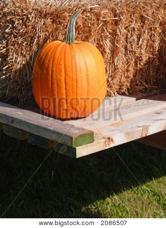 Single Pumpkin
