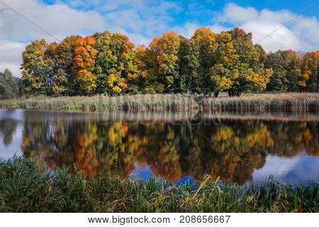 Reflection Of Autumn Forest In The Lake.