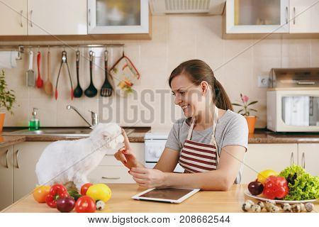 A Young Pretty Woman With White Persian Cat In The Kitchen With Tablet On The Table. Vegetable Salad