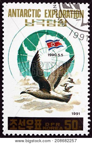 NORTH KOREA - CIRCA 1991: a stamp printed in North Korea shows Black-backed Gulls Antartic Exploration circa 1991