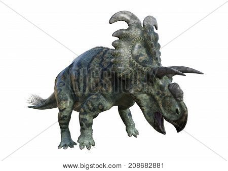 3D Rendering Dinosaur Albertaceratops On White