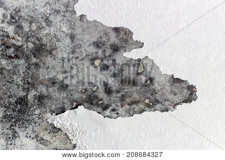 Vintage or grungy white background of natural cement or stone old texture as a retro pattern wall.