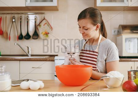 A Young Beautiful Happy Woman With A White Persian Cat Prepares Dough For Christmas Cakes With Table