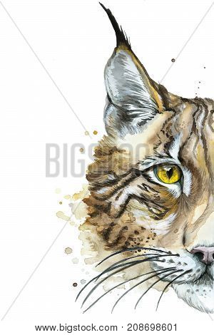 watercolor drawing of an animal predator mammal lynx with yellow eyes, portrait, head, for decoration and design, prince