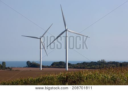Wind Turbines on a Wind Farm for irrigation and alternative power generation.