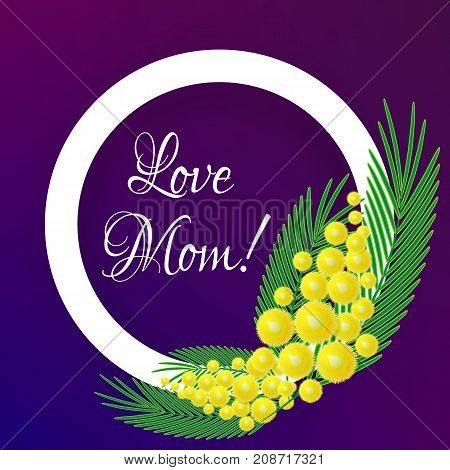 Vector element of yellow fluffy mimosa tree brunh for Mother day or Woman celebration day greeting card or poster.